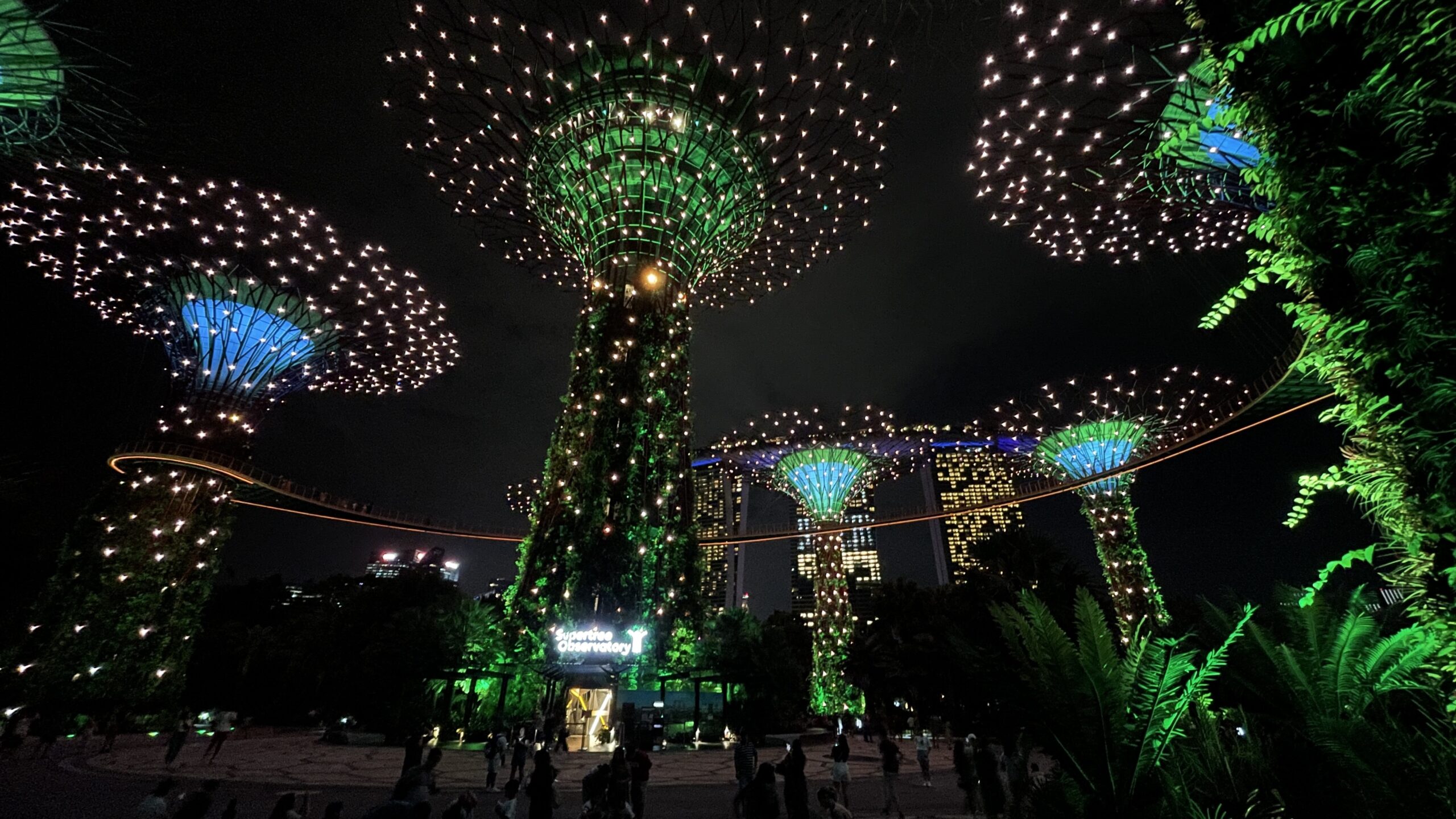singapore gardens by the bay supertree grove light up night show
